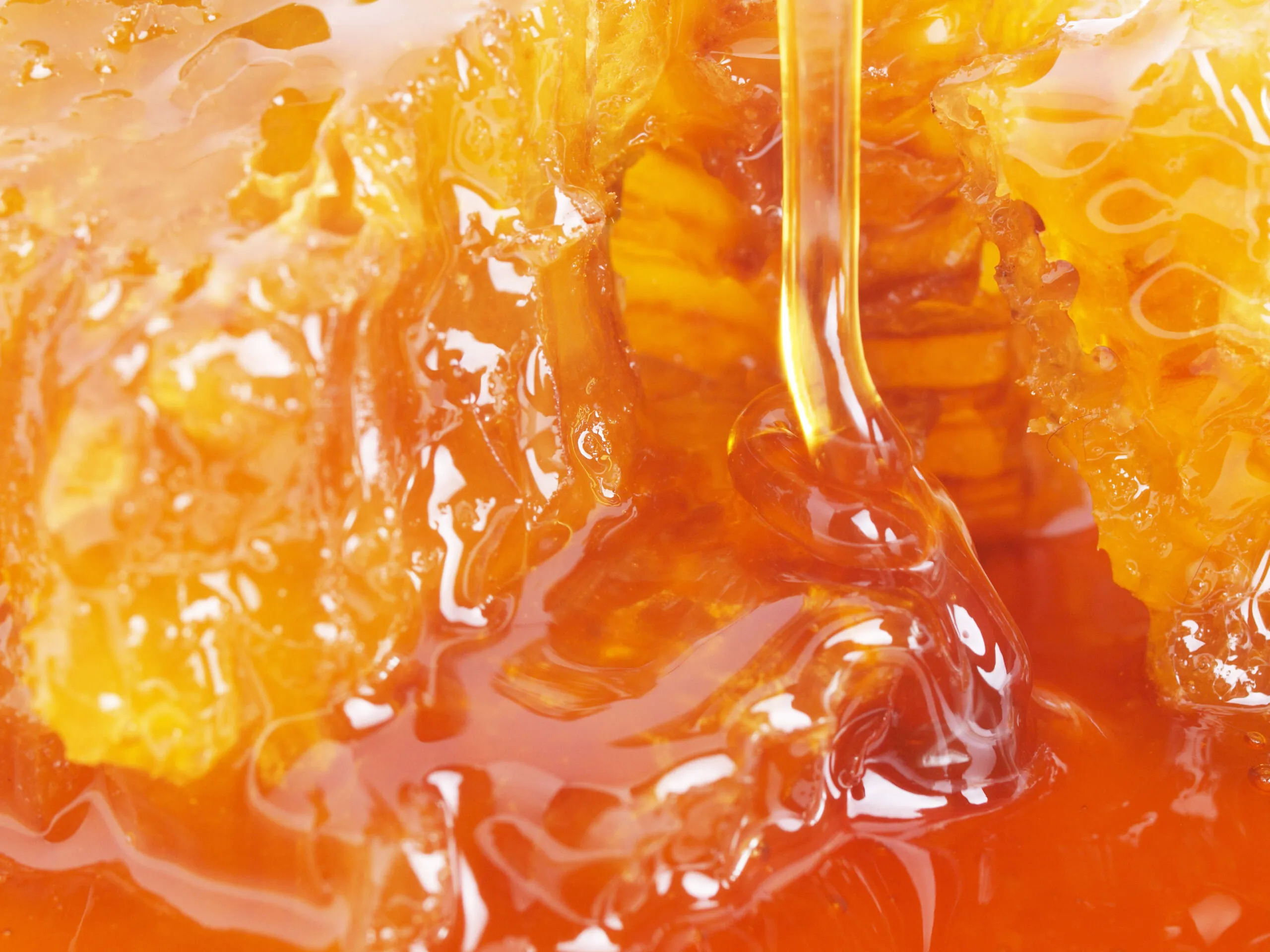 Il miele: origine naturale, significato e visione Honey Life